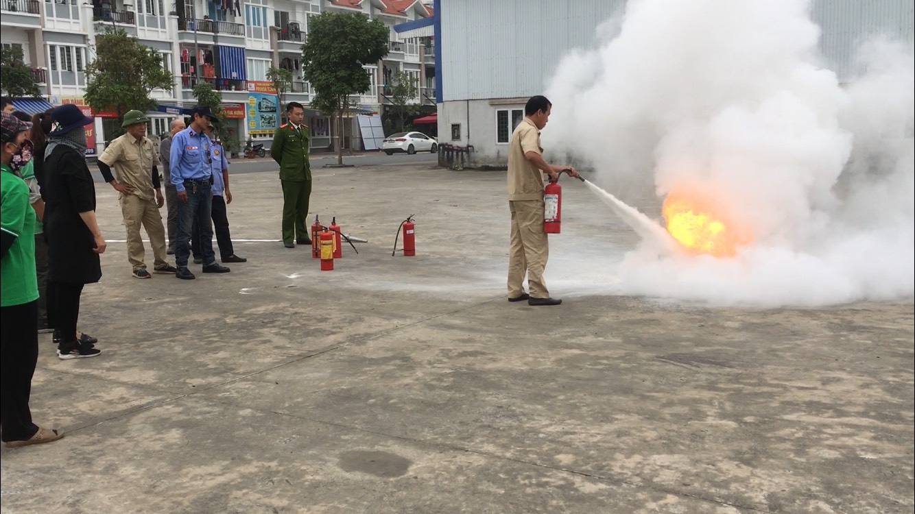 đạo tạo