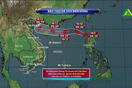 NHÀ CHUNG CƯ TRONG BÃO YAGI 2024
